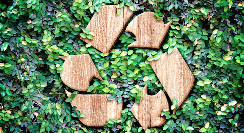 Building a Sustainable Brand: Why Going Green is Good for Business