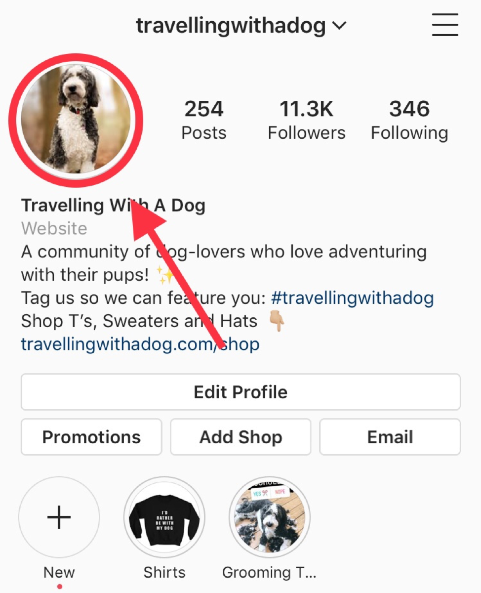 How to Use Analytics to Measure Your Instagram Story Results