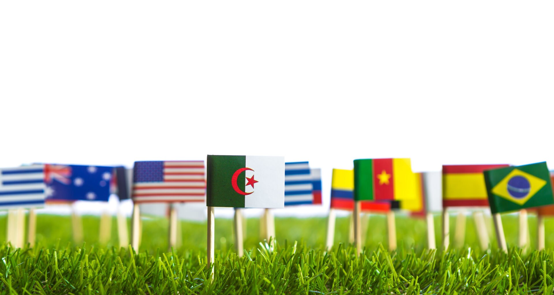 Image of flags of different countries on a lawn