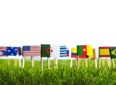 Image of flags of different countries on a lawn